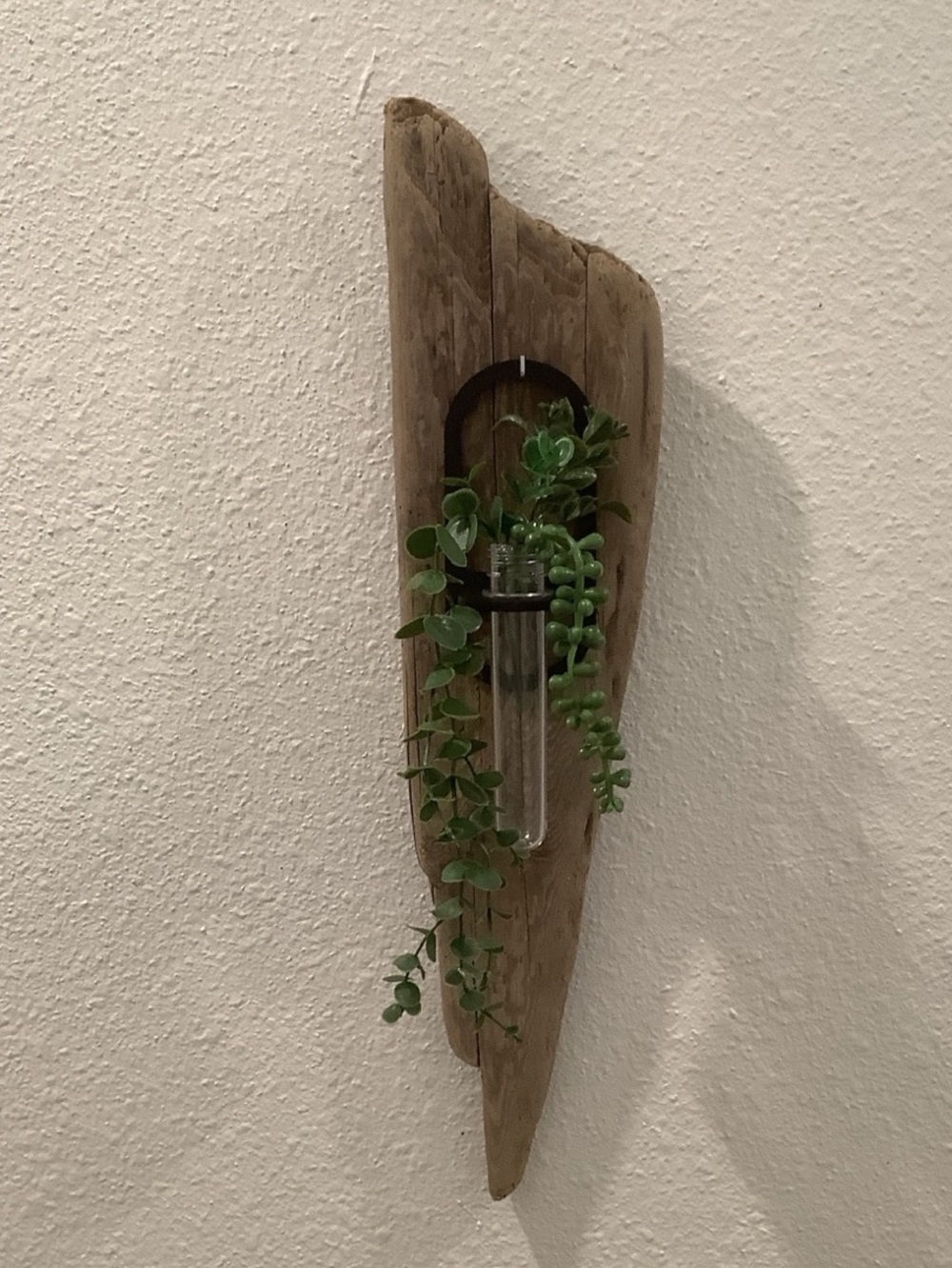 Driftwood Art , Driftwood Hanging Plant Plaque, Driftwood Coastal Art